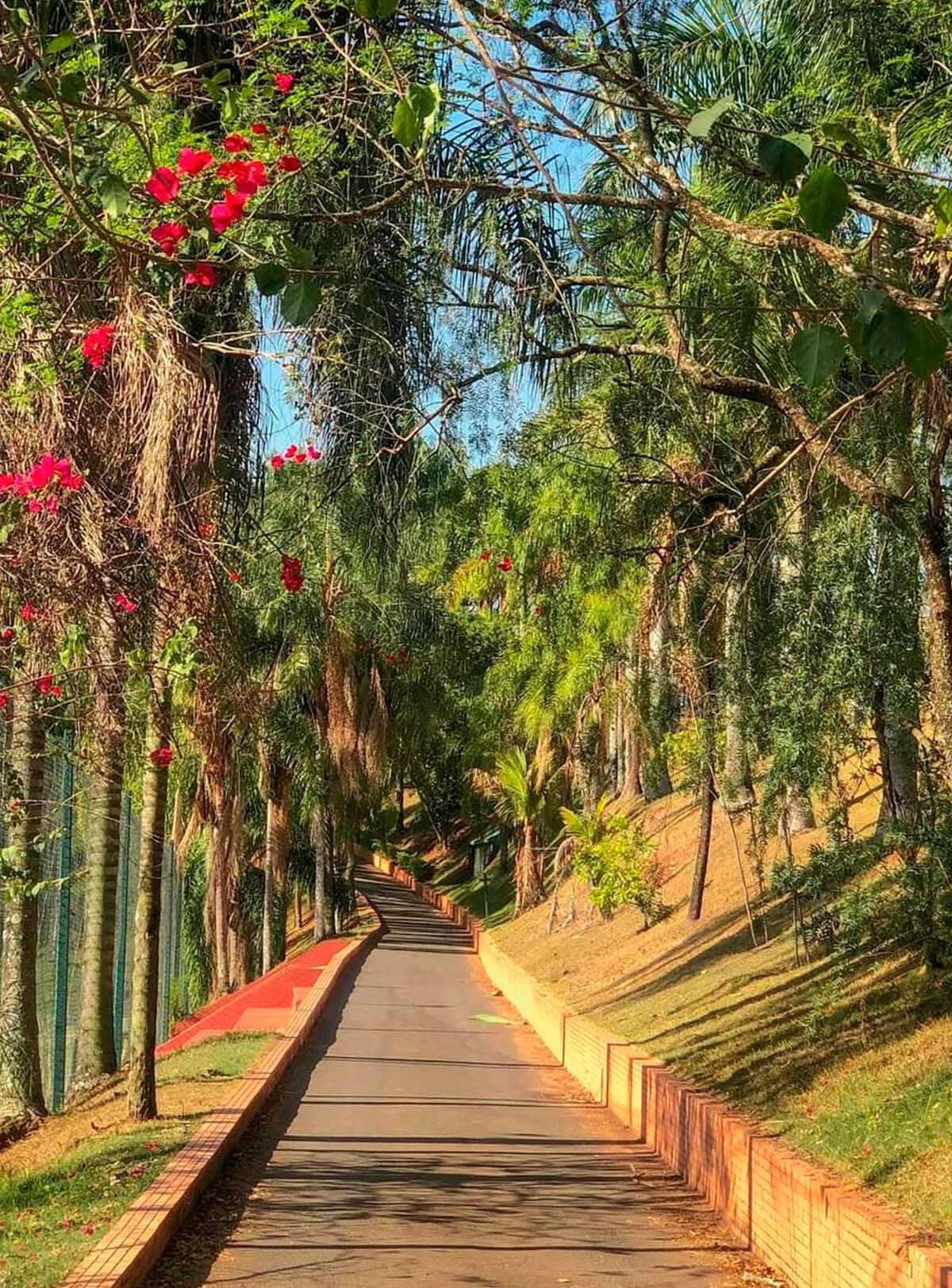Trilha e caminhada