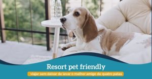 resort pet friendly